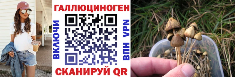 Галлюциногенные грибы Psilocybe  Балтийск 