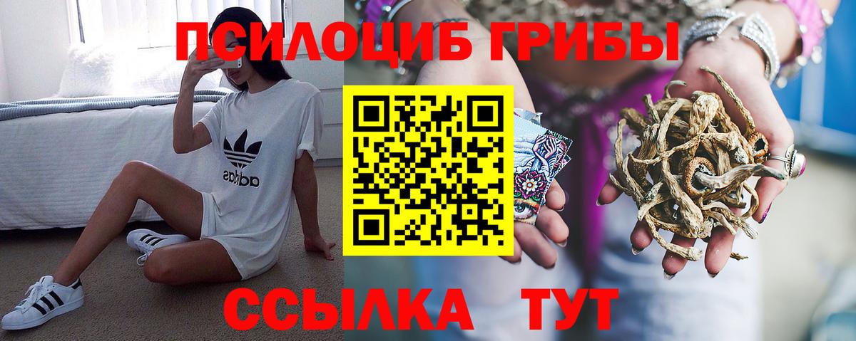 Псилоцибиновые грибы Cubensis  Вход с VPN  Балтийск 