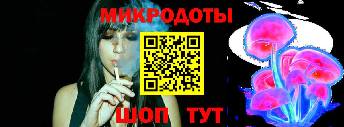 Псилоцибиновые грибы мицелий Балтийск